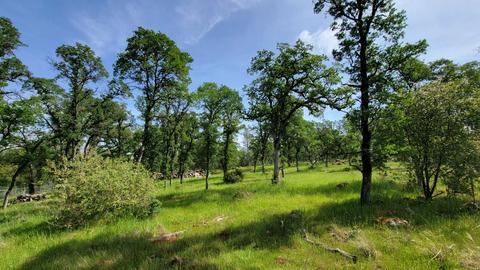 19250 Perimeter Rd, Grass Valley, CA 95949 photo 11