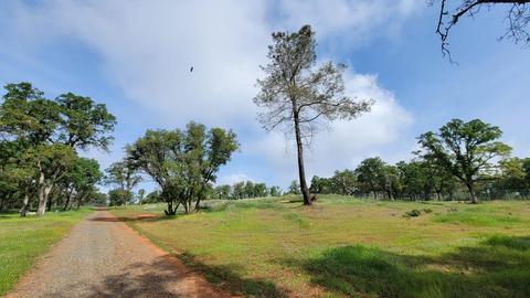19250 Perimeter Rd, Grass Valley, CA 95949 photo 4