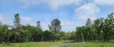 19250 Perimeter Rd, Grass Valley, CA 95949 photo 15