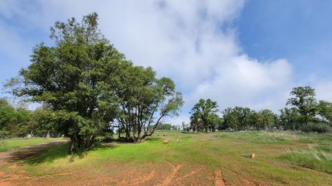 19250 Perimeter Rd, Grass Valley, CA 95949 photo 6