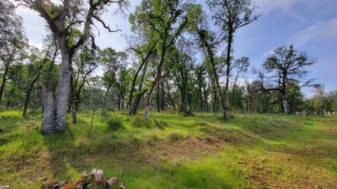 19250 Perimeter Rd, Grass Valley, CA 95949 photo 12