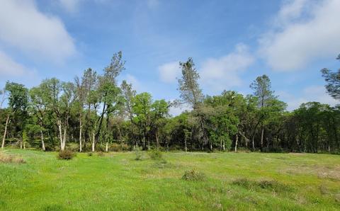 19250 Perimeter Rd, Grass Valley, CA 95949 photo 14