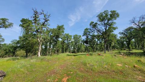 19250 Perimeter Rd, Grass Valley, CA 95949 photo 7