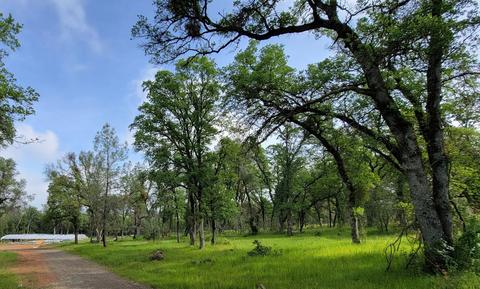19250 Perimeter Rd, Grass Valley, CA 95949 photo 19