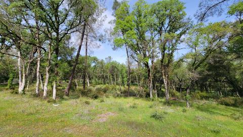 19250 Perimeter Rd, Grass Valley, CA 95949 photo 16