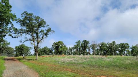 19250 Perimeter Rd, Grass Valley, CA 95949 photo 5