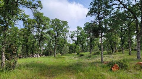 19250 Perimeter Rd, Grass Valley, CA 95949 photo 1