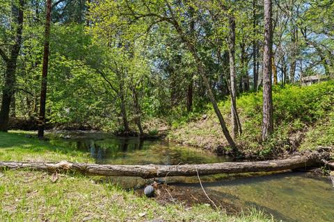 7595 Sly Park Rd, Placerville, CA 95667 photo 62