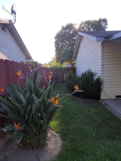 3324 Brunswick St, Modesto, CA 95350 photo 24