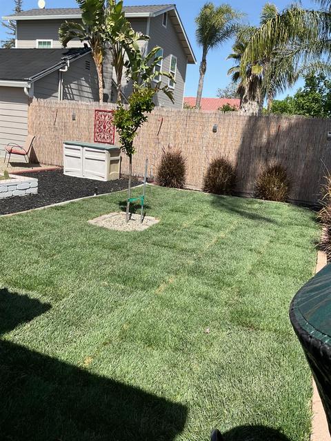 750 N Stockton Ave, Ripon, CA 95366 photo 16