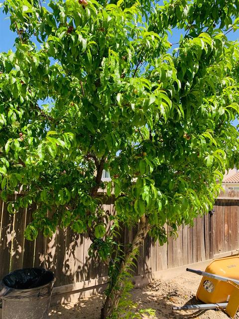 4124 Drakeshire, Modesto, CA 95356 photo 49