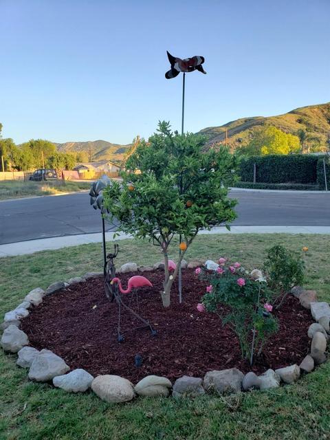 2059 Ralston, Simi Valley, CA 93063 photo 7