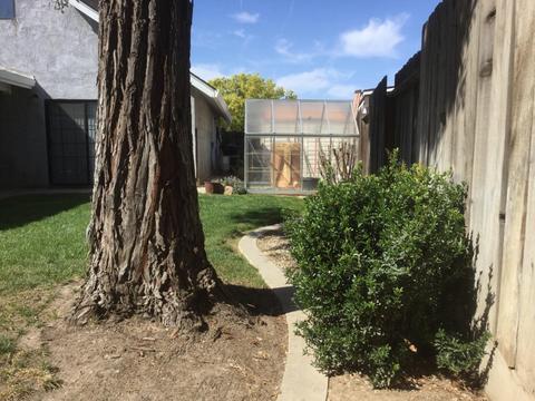 2716 Carmella Way, Modesto, CA 95355 photo 14