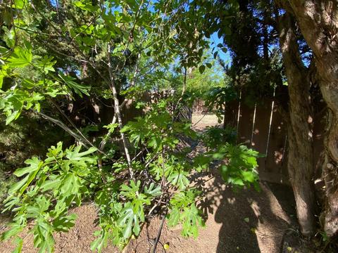 114 Sunset Ct, Patterson, CA 95363 photo 49