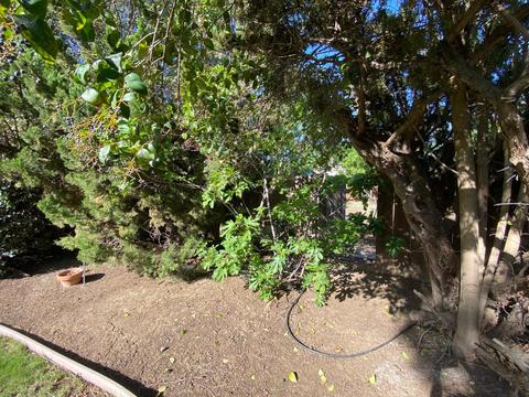 114 Sunset Ct, Patterson, CA 95363 photo 50