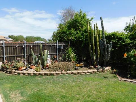 72 Hupp, Planada, CA 95365 photo 61