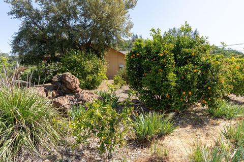 3121 Ken Derek Ln, Placerville, CA 95667 photo 28