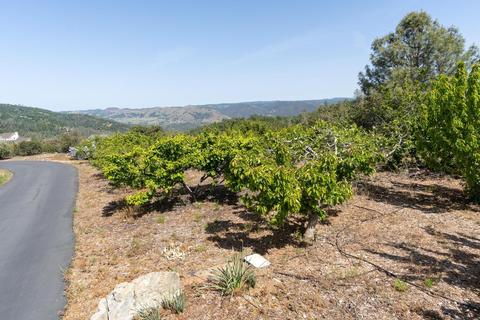3121 Ken Derek Ln, Placerville, CA 95667 photo 27
