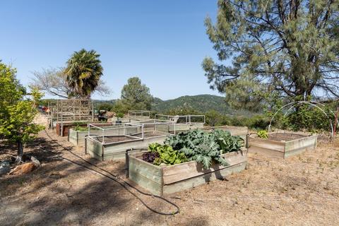 3121 Ken Derek Ln, Placerville, CA 95667 photo 25