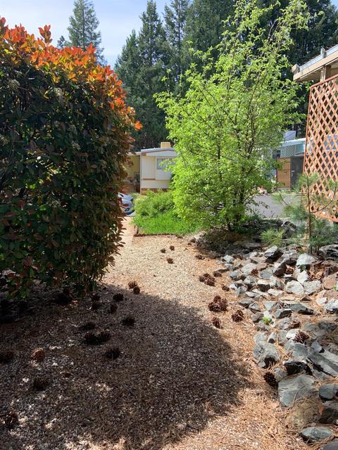 57 Candy Ln, Grass Valley, CA 95949 photo 23