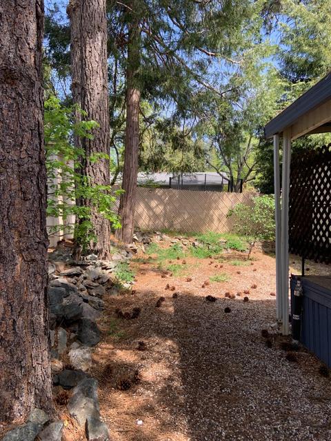 57 Candy Ln, Grass Valley, CA 95949 photo 19