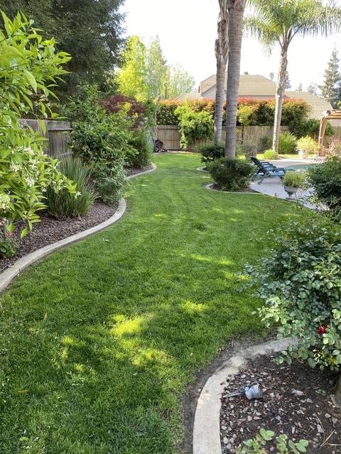 1874 Edgewood, Turlock, CA 95382 photo 10