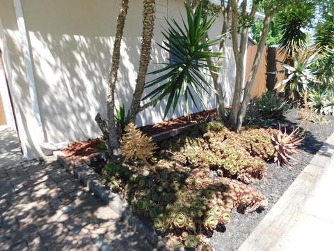 1309 Bowen Ave, Modesto, CA 95350 photo 4