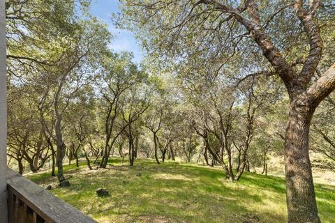 2130 Hidden Gold Trl, Cool, CA 95614 photo 46
