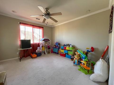 309 S Manley Rd, Ripon, CA 95366 photo 40