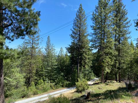 6150 Pyramid View Ln, Placerville, CA 95667 photo 22