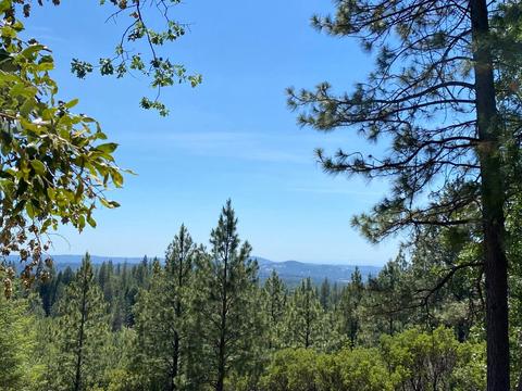 6150 Pyramid View Ln, Placerville, CA 95667 photo 27