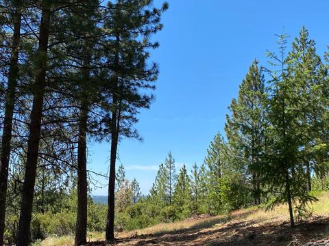 6150 Pyramid View Ln, Placerville, CA 95667 photo 28