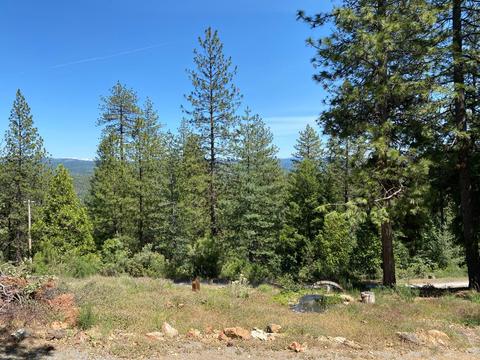 6150 Pyramid View Ln, Placerville, CA 95667 photo 25