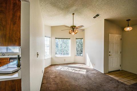 111 Brannon Dr, Tracy, CA 95376 photo 15