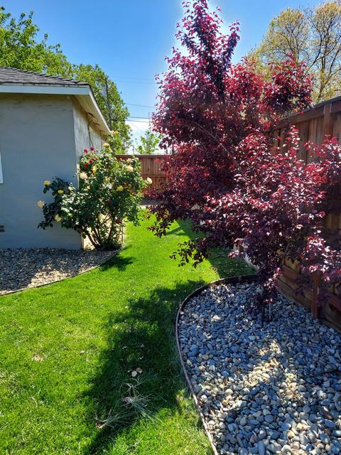 1057 Park St, Turlock, CA 95380 photo 30