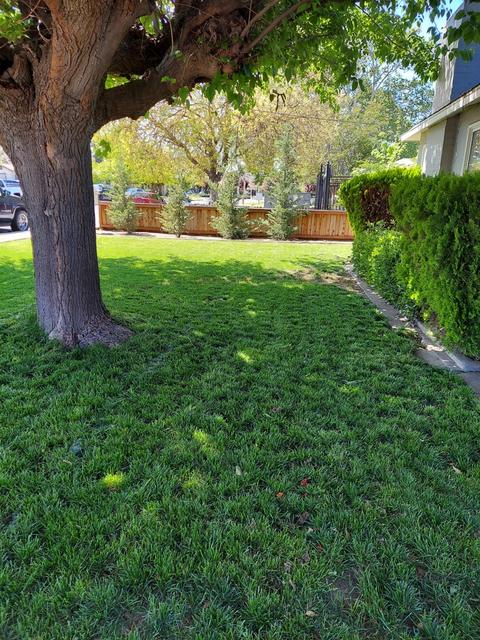 1057 Park St, Turlock, CA 95380 photo 5