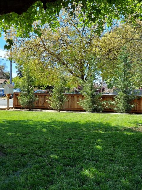 1057 Park St, Turlock, CA 95380 photo 4