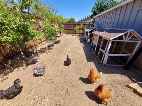 1057 Park St, Turlock, CA 95380 photo 33