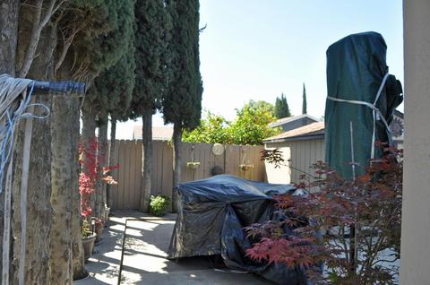 546 O St, Lathrop, CA 95330 photo 10