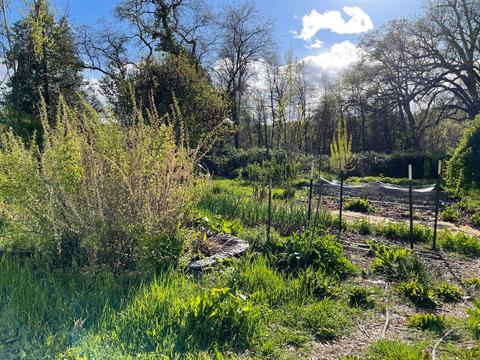 17984 Lasso Loop, Penn Valley, CA 95946 photo 3