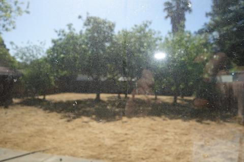 404 Grant Ave, Winters, CA 95694 photo 5