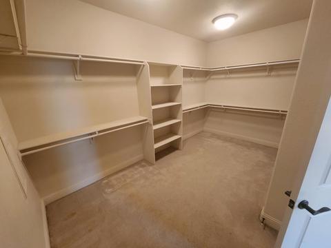 836 Trestle Pt, Lathrop, CA 95330 photo 22