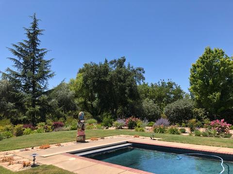 1118 Westfield, Davis, CA 95616 photo 49