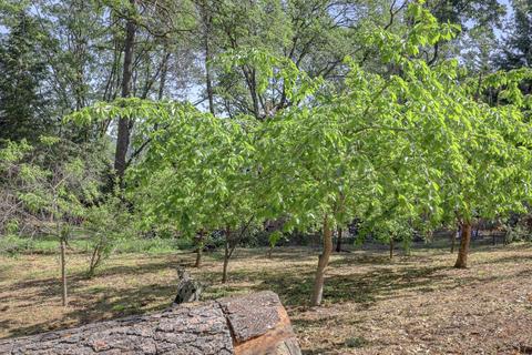 16434 Jon Eric Ct, Grass Valley, CA 95949 photo 38