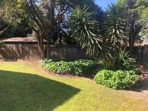913 Lenore Ct, Modesto, CA 95351 photo 32