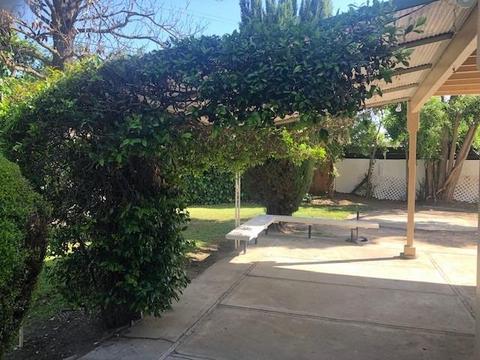 913 Lenore Ct, Modesto, CA 95351 photo 36
