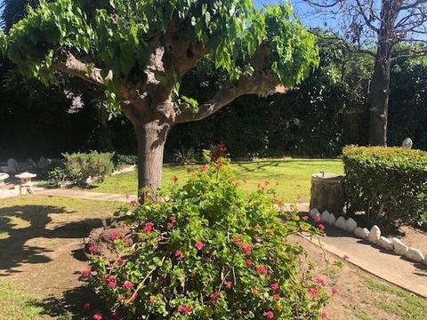 913 Lenore Ct, Modesto, CA 95351 photo 35