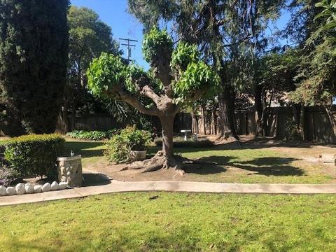 913 Lenore Ct, Modesto, CA 95351 photo 31