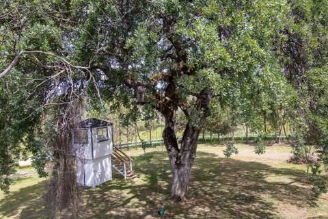 1921 Windmill Cir, San Andreas, CA 95249 photo 27