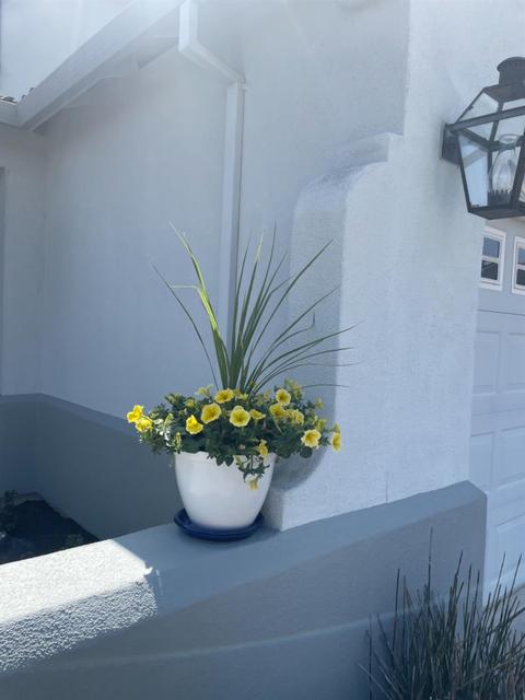 6209 Canvasback Ct, Rocklin, CA 95765 photo 52